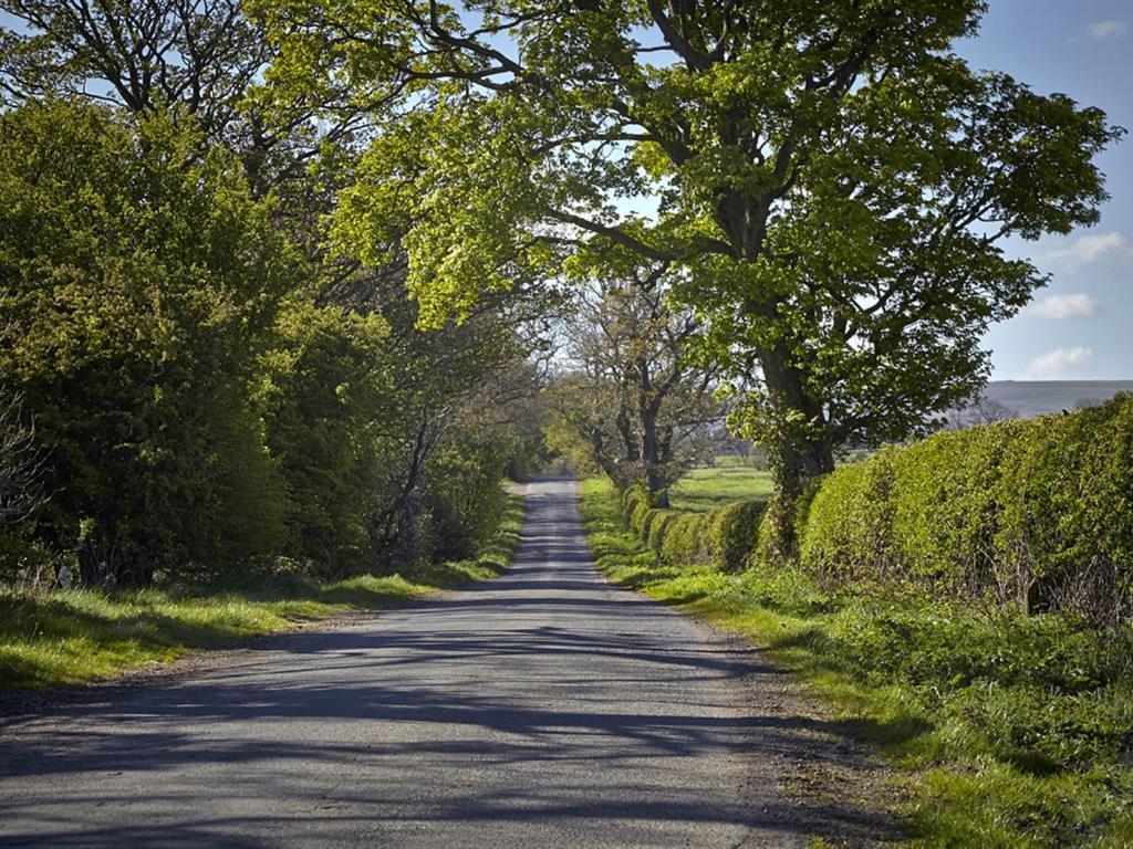 Bed and Breakfast Lily Hill Farm Barnard Castle Esterno foto