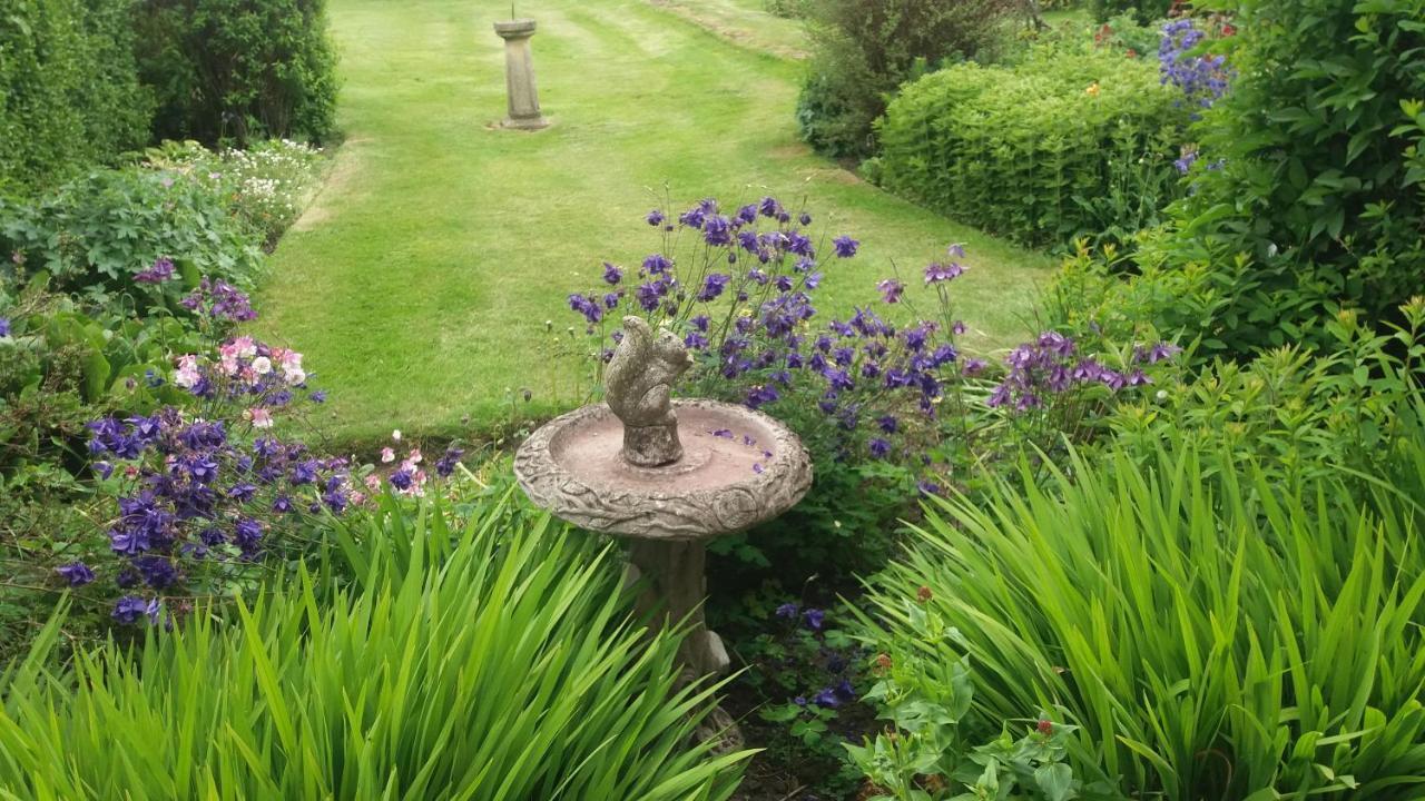 Bed and Breakfast Lily Hill Farm Barnard Castle Esterno foto