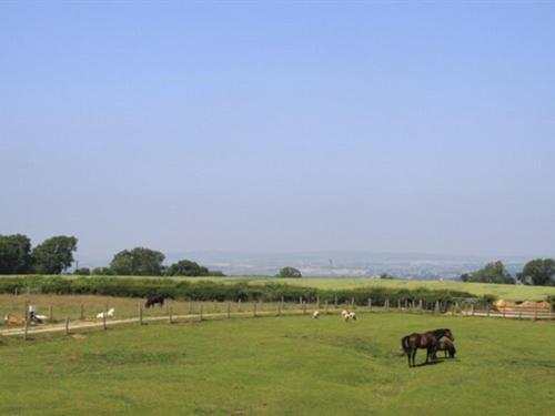 Bed and Breakfast Lily Hill Farm Barnard Castle Esterno foto